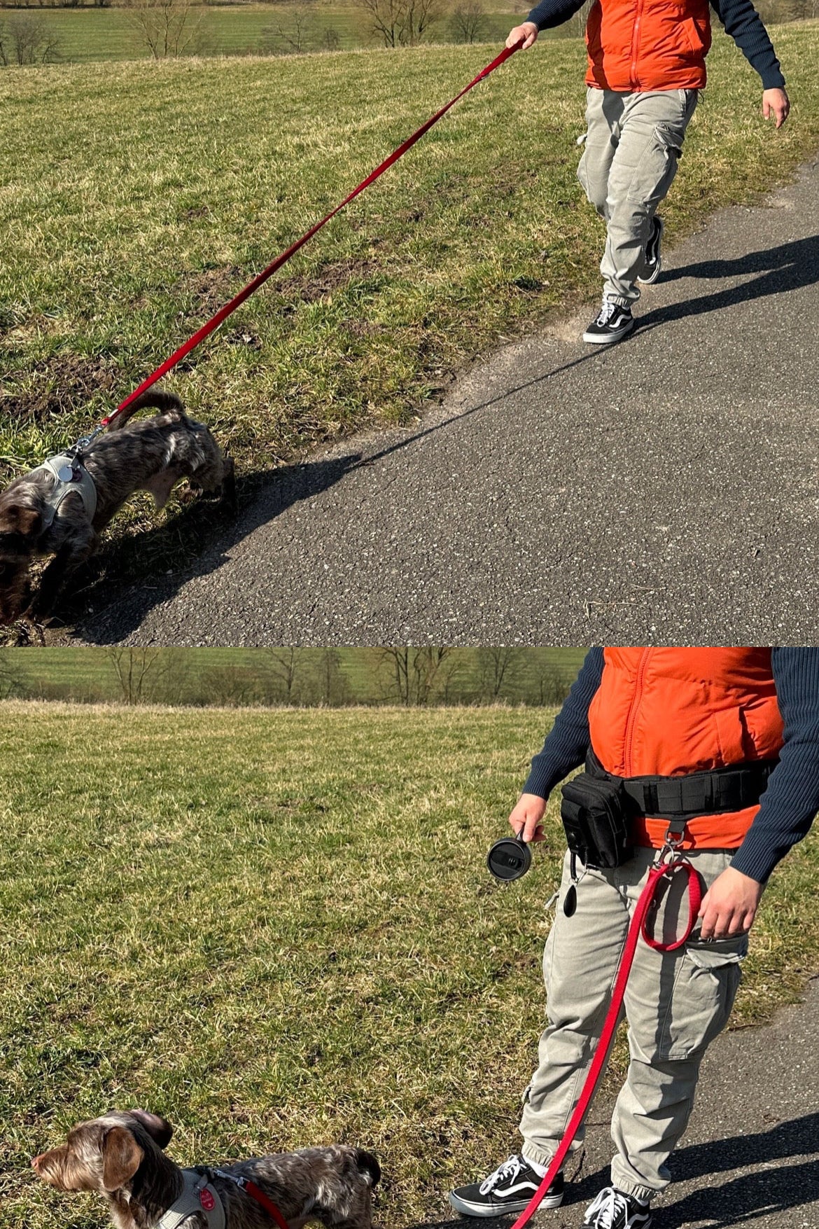 FREE WALK – Der innovative Gassigeh-Gürtel für mehr Freiheit und Komfort