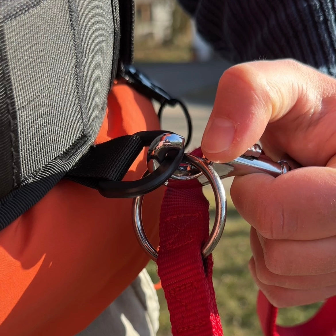 FREE WALK – Der innovative Gassigeh-Gürtel für mehr Freiheit und Komfort