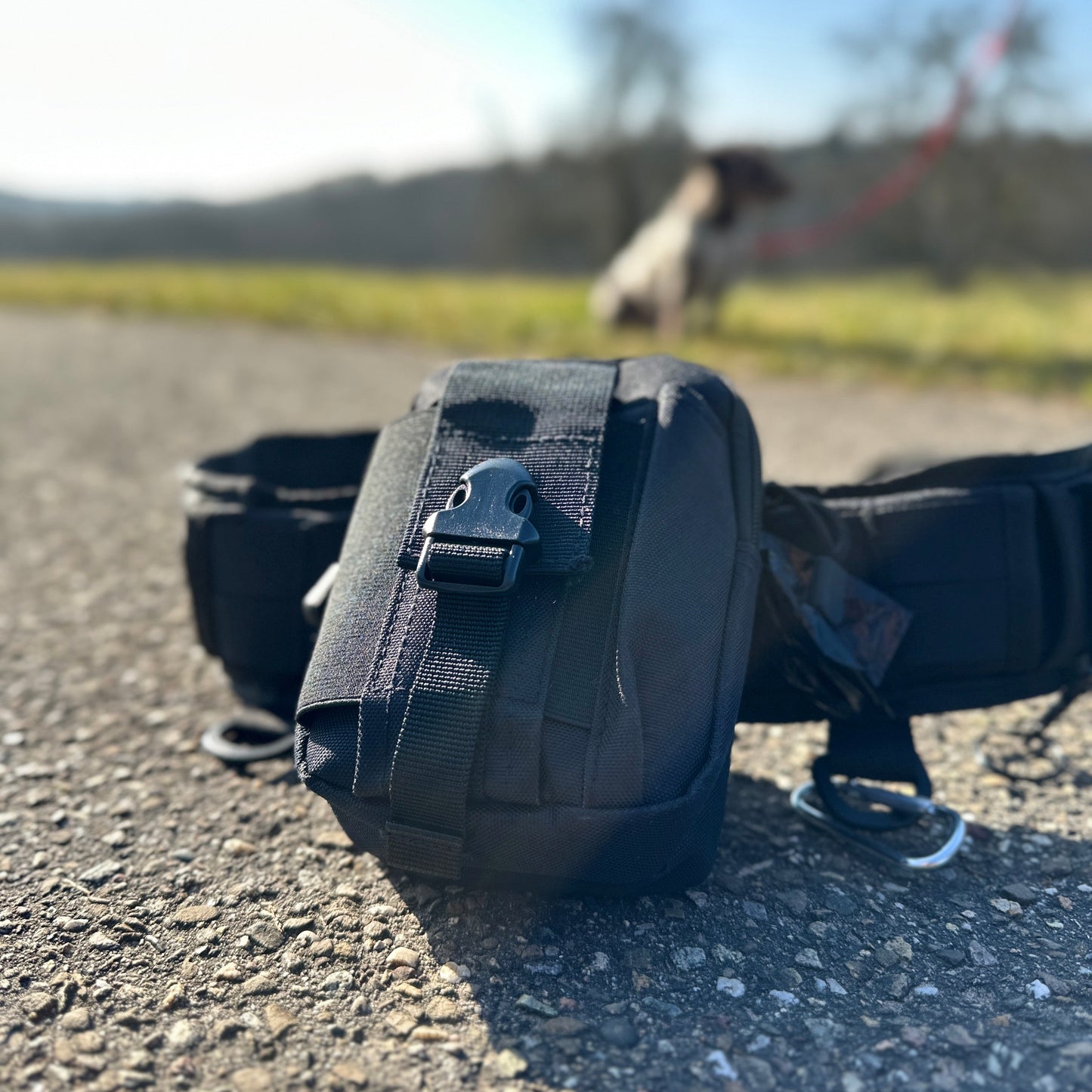 FREE WALK – Der innovative Gassigeh-Gürtel für mehr Freiheit und Komfort