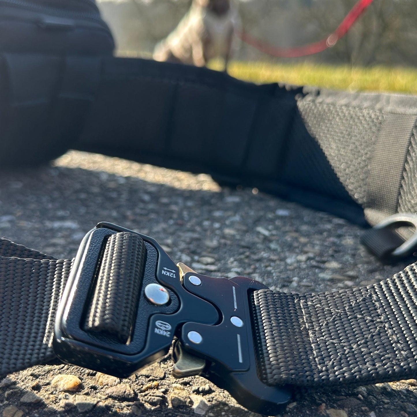 FREE WALK – Der innovative Gassigeh-Gürtel für mehr Freiheit und Komfort